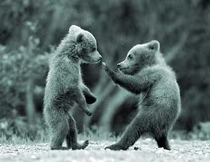 Don’t Get Beaten Up!